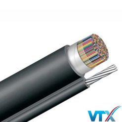 Cáp diện thoại 100 đôi