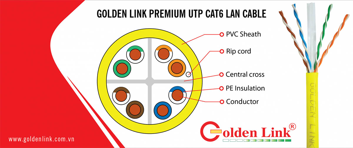 Dây cáp mạng Golden Link Cat6 UTP
