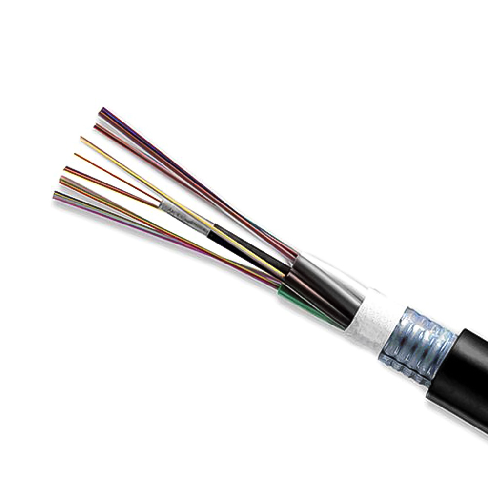 Day-cap-quang-Multimode-24-soi-24-FO-Indoor_Outdoor