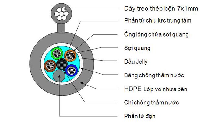 cap-quang-hinh-so-8-la-gi