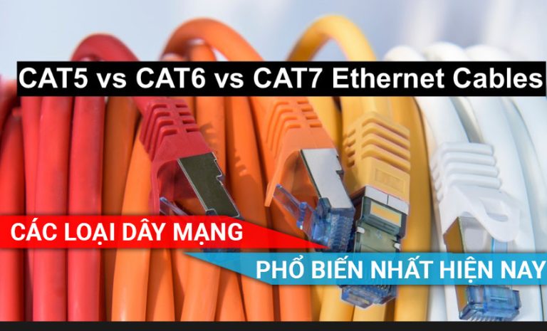 Các loại dây mạng phổ biến nhất hiện nay
