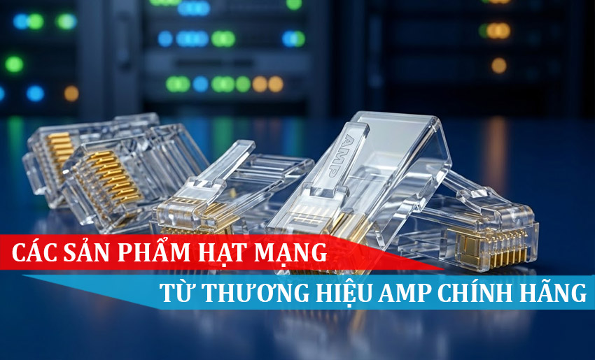 Các sản phẩm hạt mạng amp