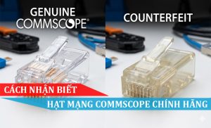 Cách nhận biết hạt mạng commscope chính hãng