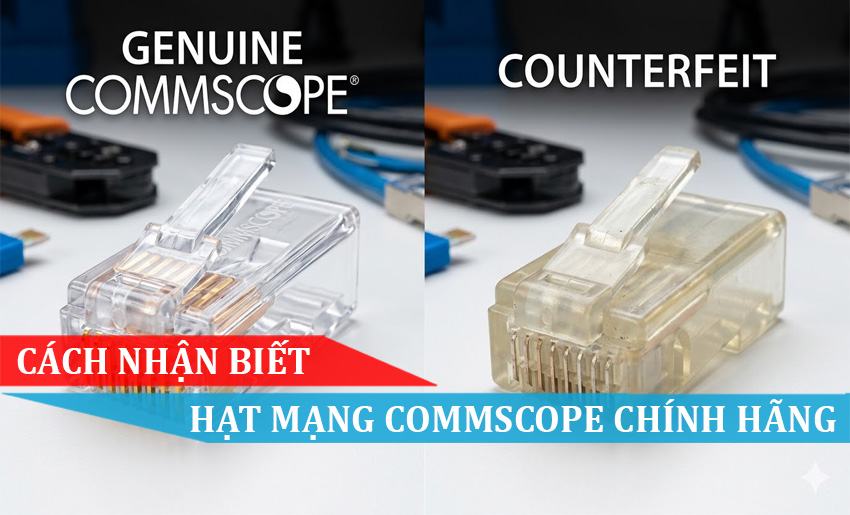 Cách nhận biết hạt mạng commscope chính hãng