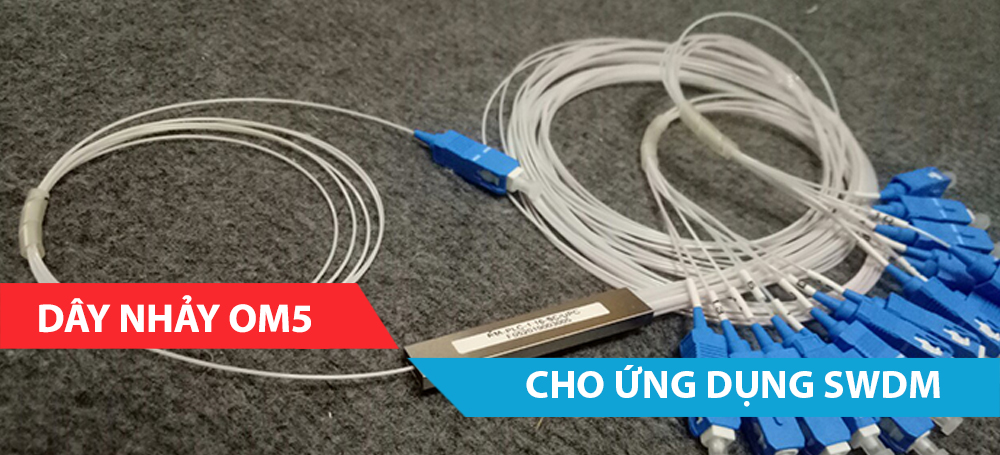 Dây nhảy OM5 cho ứng dụng SWDM