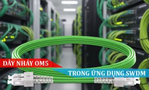 Dây nhảy OM5 cho ứng dụng SWDM