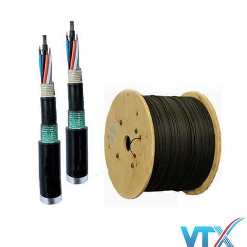 Cáp quang LS Multimode 4FO (LT-DJBGSEX/BRN MG4XXX(06T2.00)
