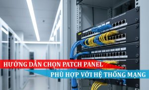 Hướng dẫn chọn Patch Panel phù hợp với hệ thống mạng