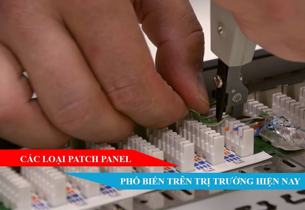 Các loại Patch Panel phổ biến trên thị trường hiện nay !