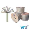 Dây cáp mạng Cat5e UTP 25 Pair Hosiwell 30031-GR