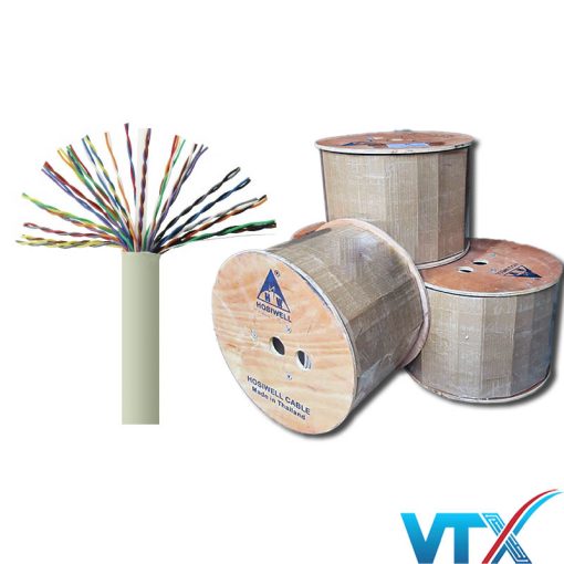 Dây cáp mạng Cat5e UTP 25 Pair Hosiwell 30031-GR
