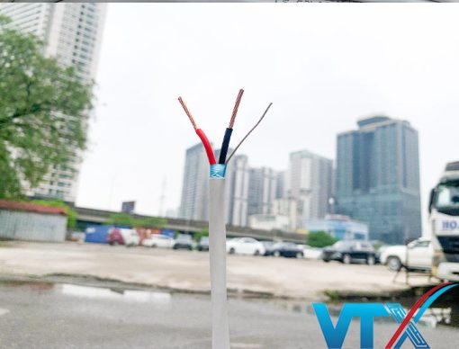 cáp điều khiển chống nhiễu LS 2 lõi (2)