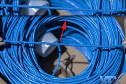 Cáp mạng Cat6 UTP PANDUIT (4)