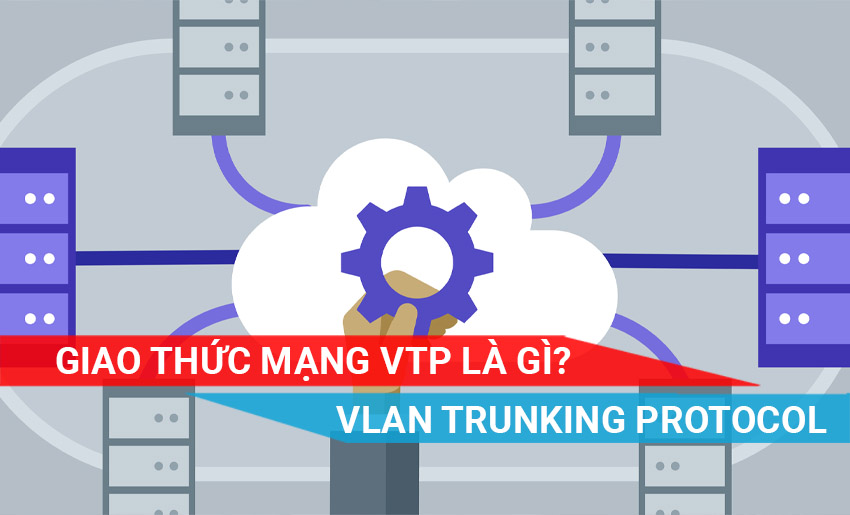 VTP là gì