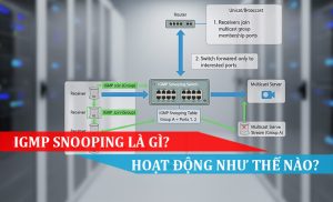 IGMP Snooping là gì Và hoạt động như thế nào