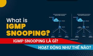 IGMP Snooping là gì hoạt đông như thế nào