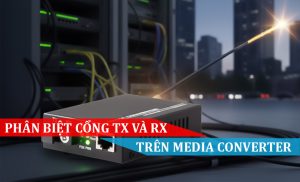 Phân biệt cổng TX và RX trên Media Converter