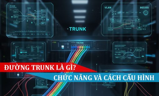 Tìm hiểu VLAN TRUNK và Cổng Trunk trên Switch