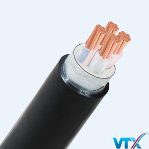 CXV Cáp điện Trần Phú đảm bảo chính hãng