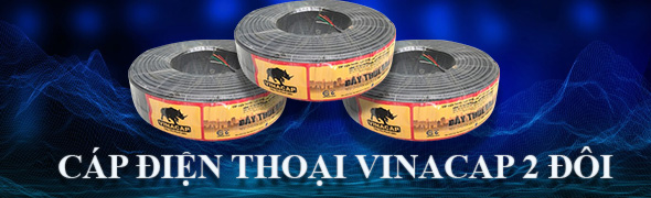 Cáp điện thoại 2 đôi