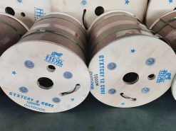 Cáp quang luồn cống, ống lỏng 12FO HDPRO Single mode (1)