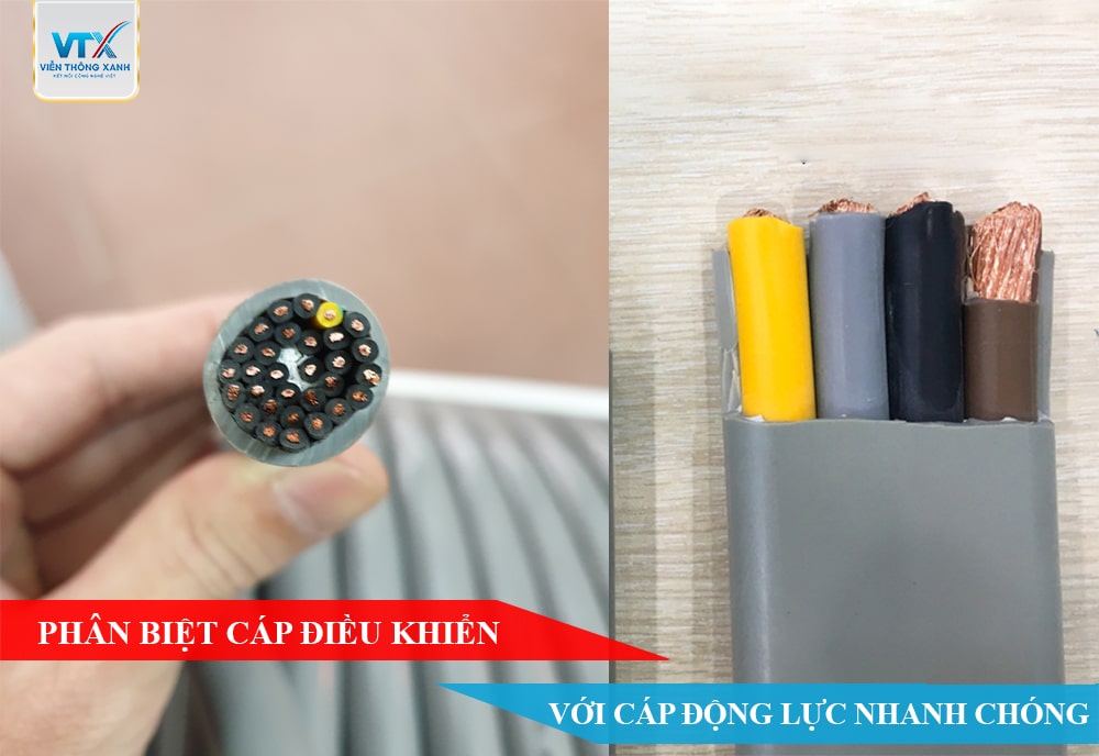 Phân biệt cáp động lực với cáp điều khiển nhanh chóng và dễ dàng