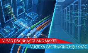 vì sao dây nhảy quang maxtel vượt xa các thương hiệu khác