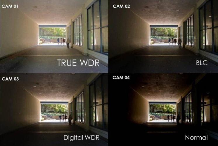 WDR là gì Khái niệm cực kỳ dễ hiểu
