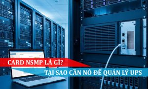 CARD NSMP LÀ GÌ