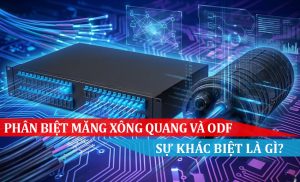 Phân biệt măng xông quang và odf sự khác biệt là gì