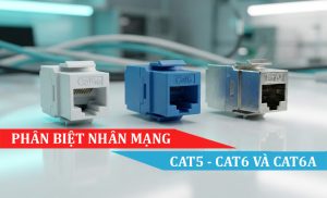 phân biệt nhân mạng cat5 cat6 và cat6a