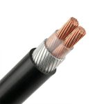 Cáp ngầm 2 lõi hạ thế CXV DSTA