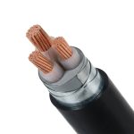 Cáp ngầm 3 lõi hạ thế CXV DSTA