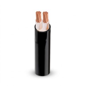 Cáp điện 2 lõi hạ thế CXV (Cu/XLPE/PVC)
