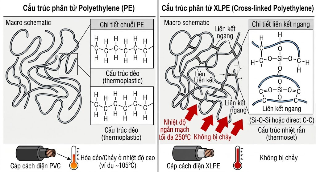 cấu trúc của PVC và XLPE